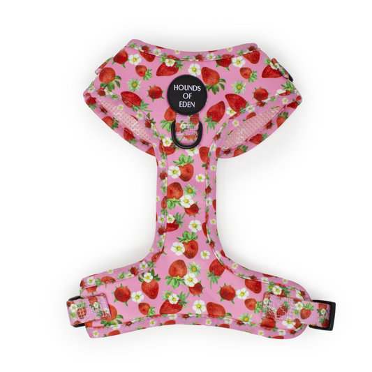 Strawberry Patch Design Dog Harness - The Bark Market