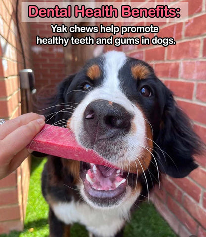 Strawberry Yak Dog Chew - The Bark Market