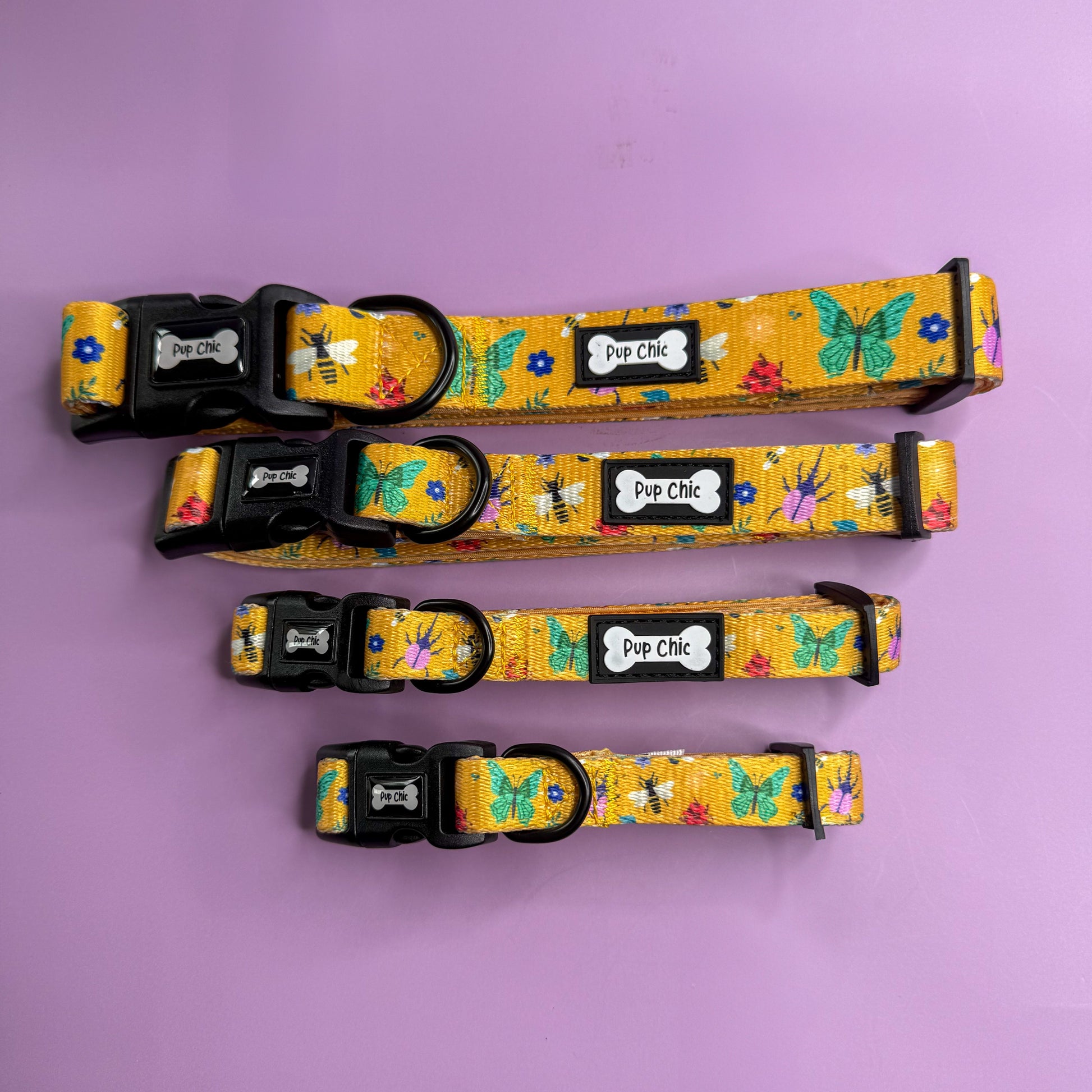 Summer Buzzin’ Dog Collar - The Bark Market