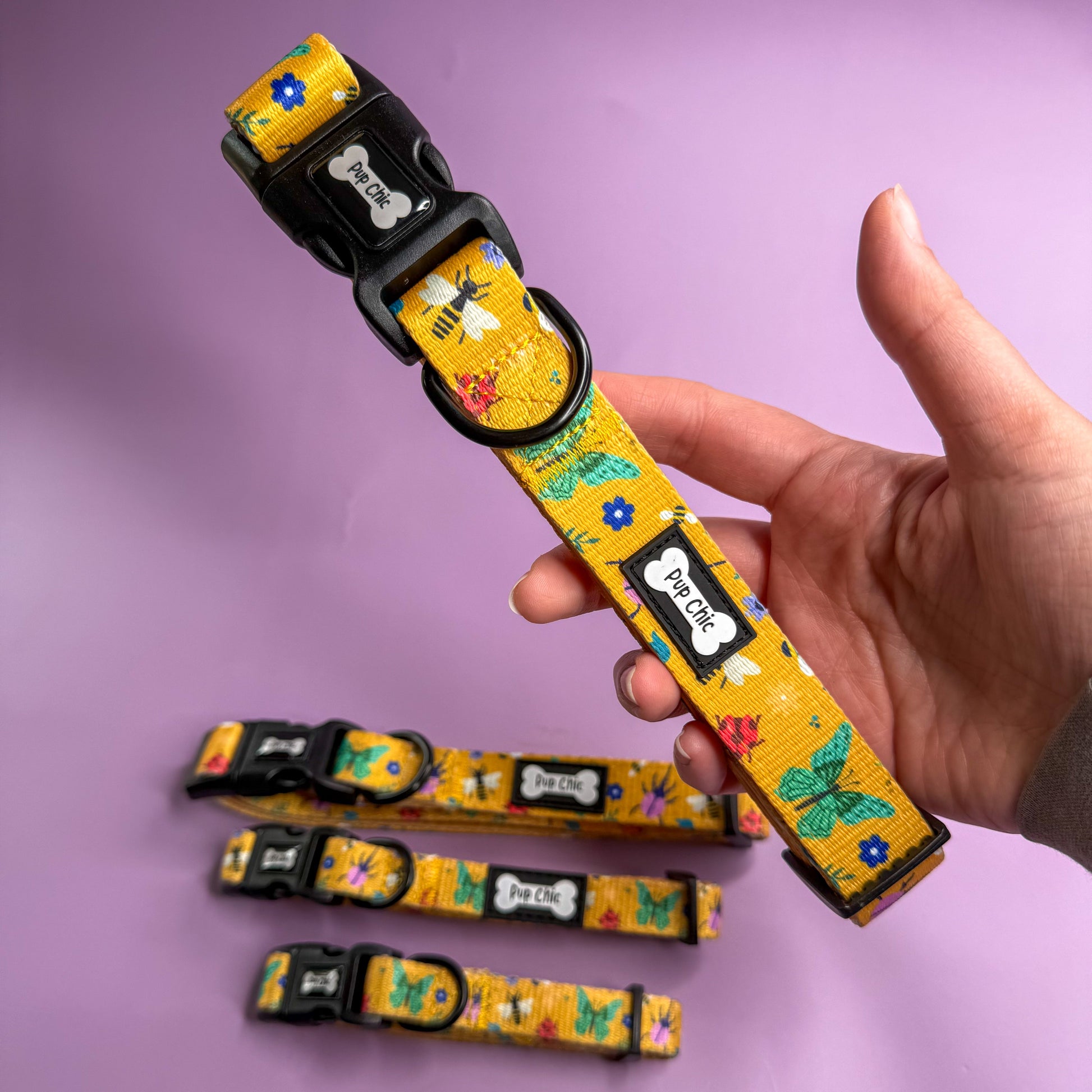 Summer Buzzin’ Dog Collar - The Bark Market