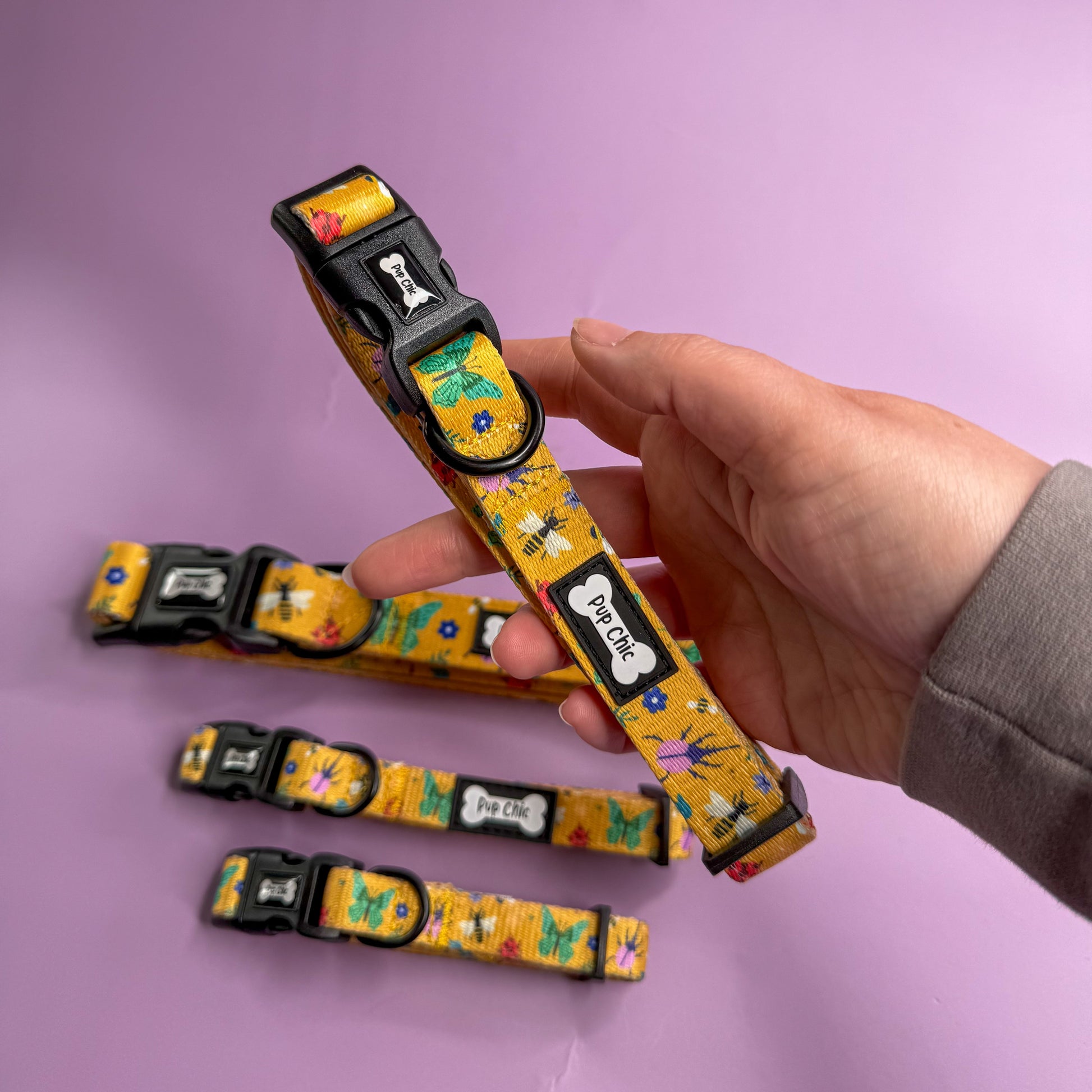 Summer Buzzin’ Dog Collar - The Bark Market