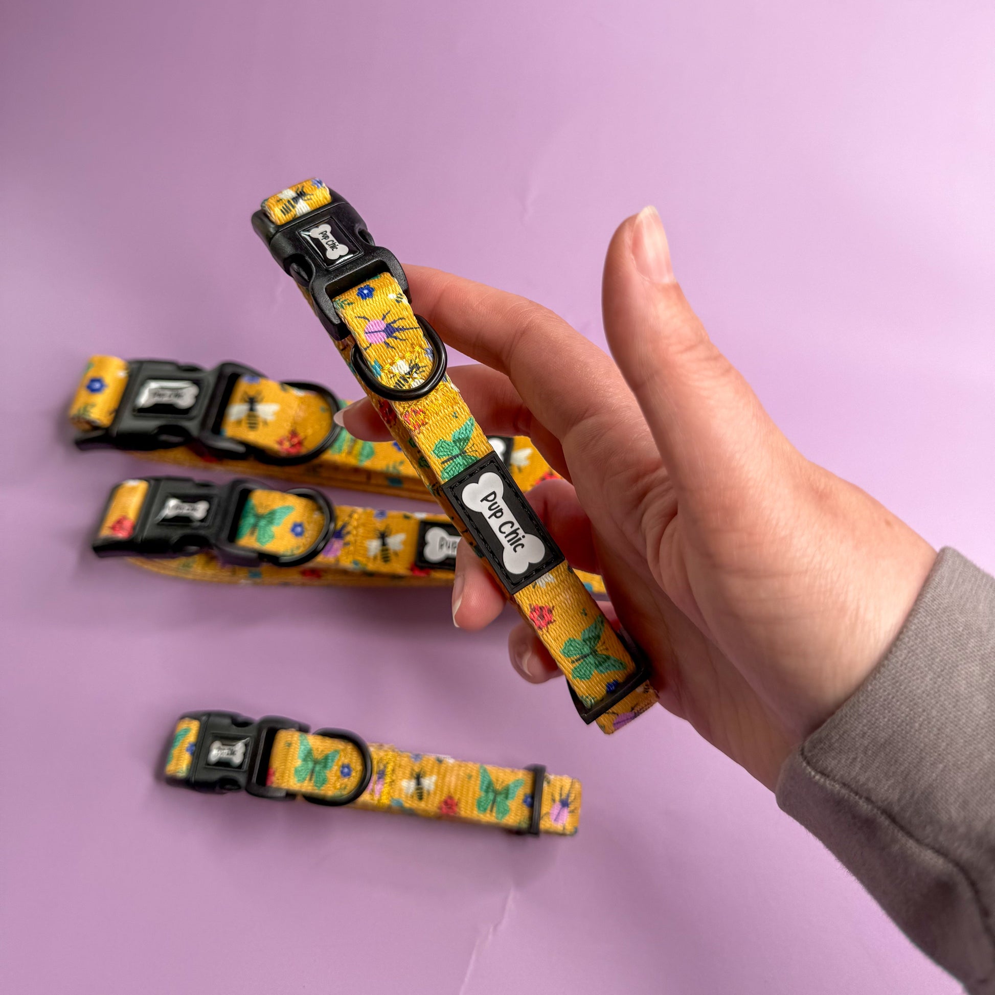 Summer Buzzin’ Dog Collar - The Bark Market