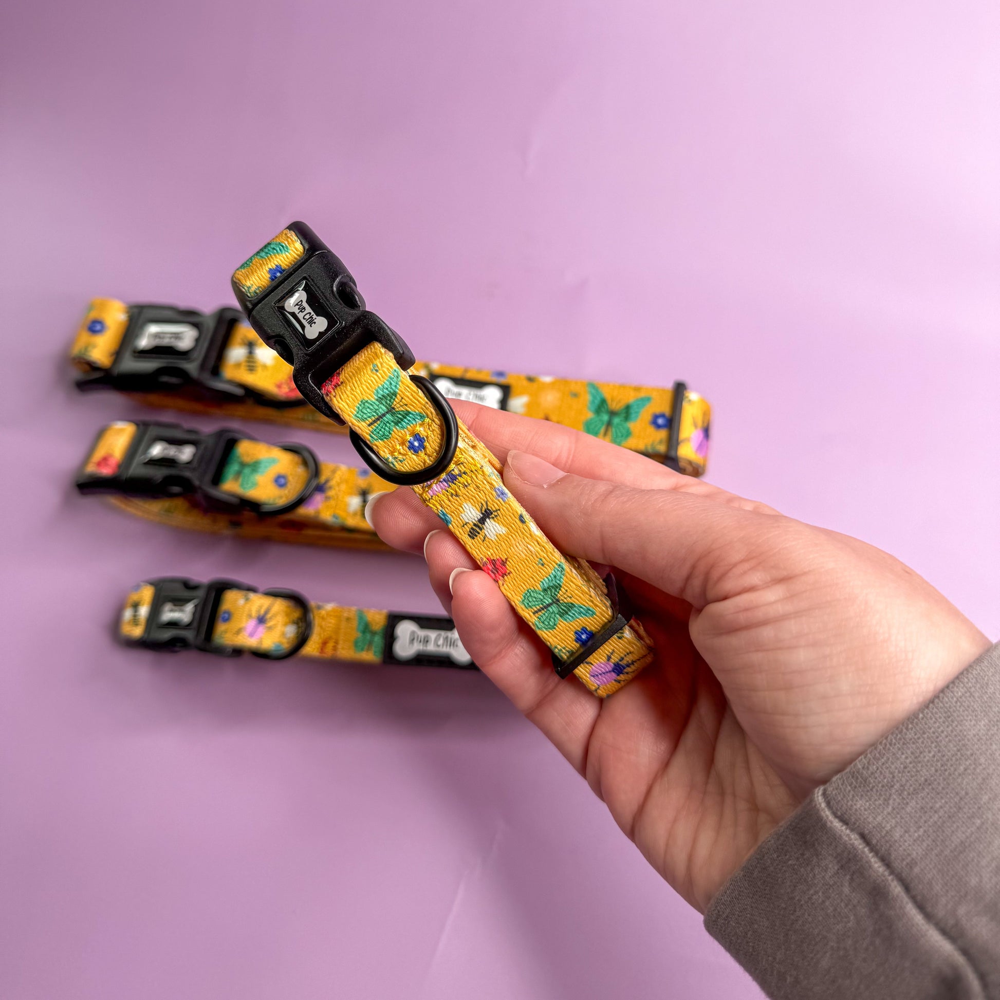 Summer Buzzin’ Dog Collar - The Bark Market
