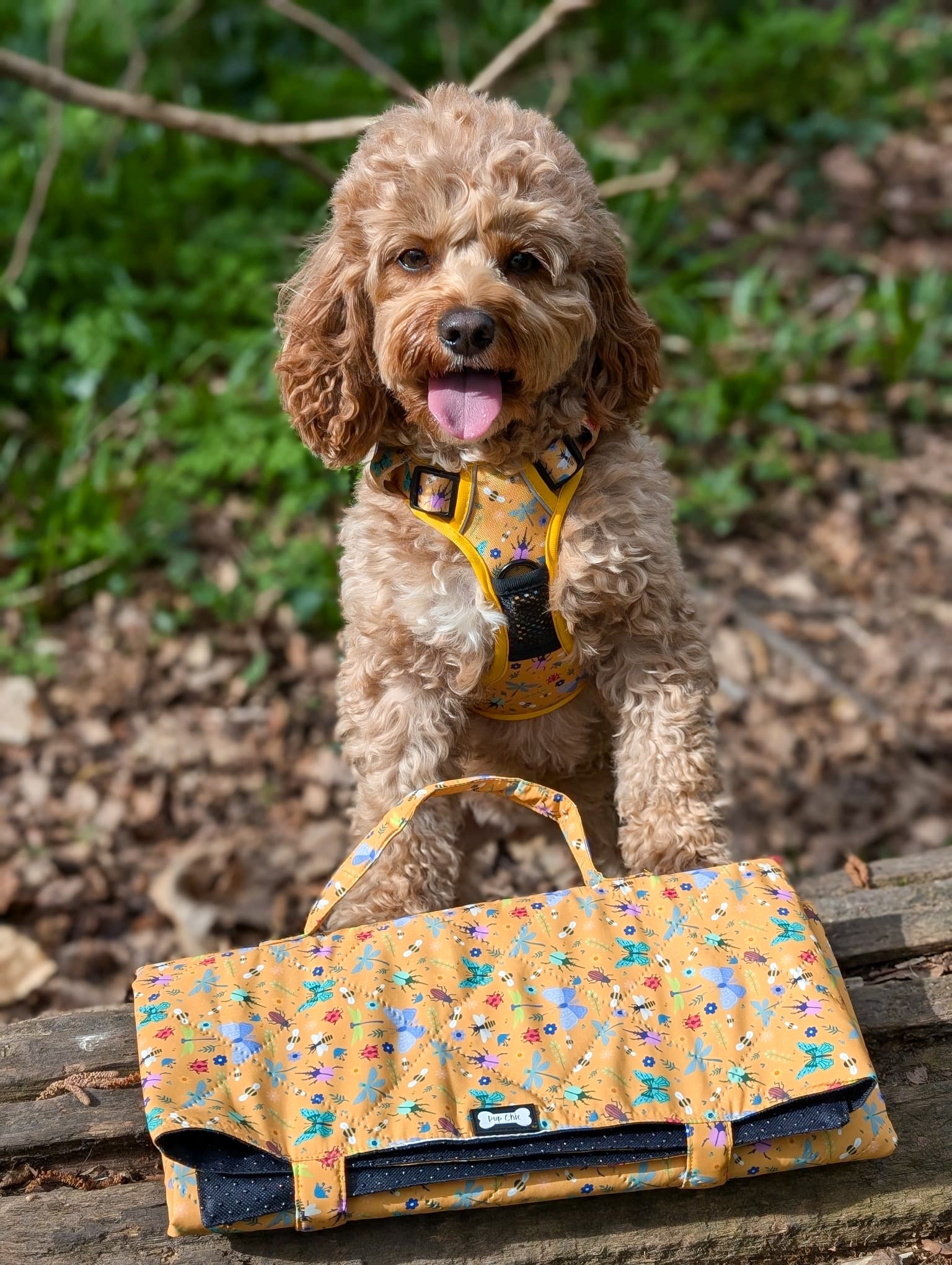 Summer Buzzin' Dog Settle Mat – Lightweight, Waterproof & Travel-Friendly - The Bark Market