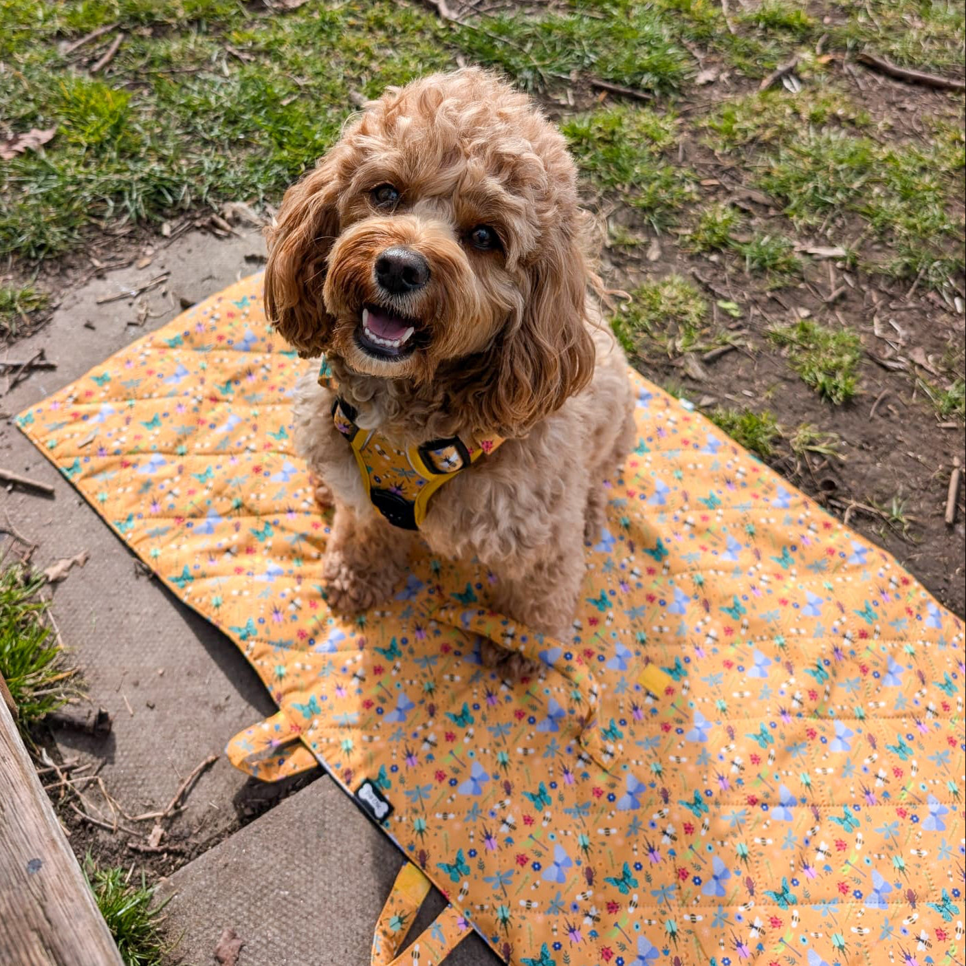Summer Buzzin' Dog Settle Mat – Lightweight, Waterproof & Travel-Friendly - The Bark Market