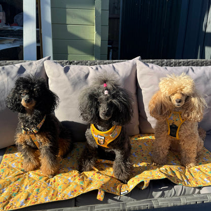 Summer Buzzin' Dog Settle Mat – Lightweight, Waterproof & Travel-Friendly - The Bark Market