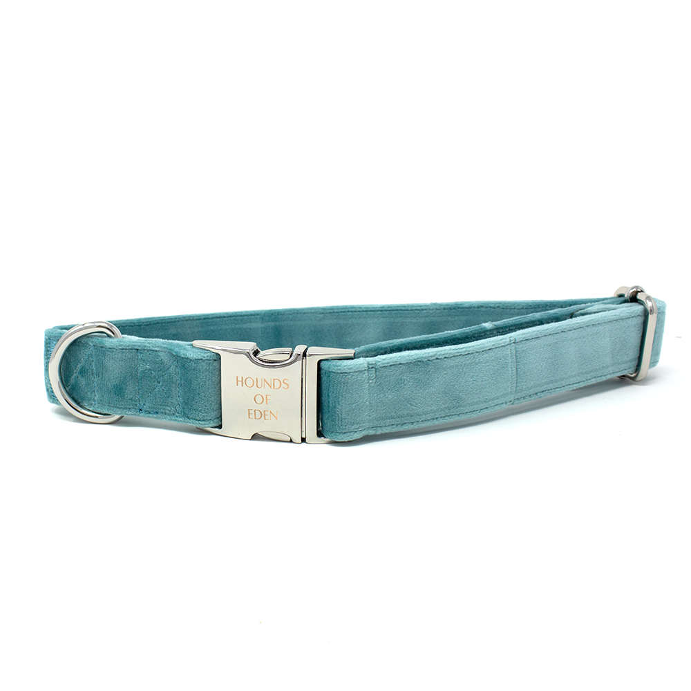 Tiffany's - Light Teal Velvet Dog Harness with Silver Metal Hardware - The Bark Market