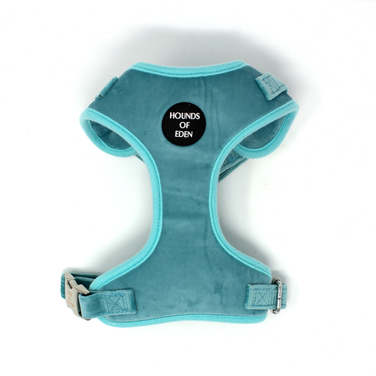 Tiffany's - Light Teal Velvet Dog Harness with Silver Metal Hardware - The Bark Market