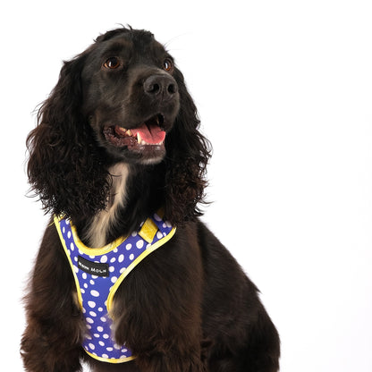 The Minnie Mesh Harness - The Bark Market