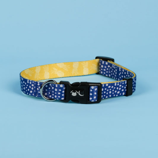 The Minnie Dog Collar - The Bark Market