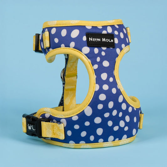 The Minnie Mesh Harness - The Bark Market