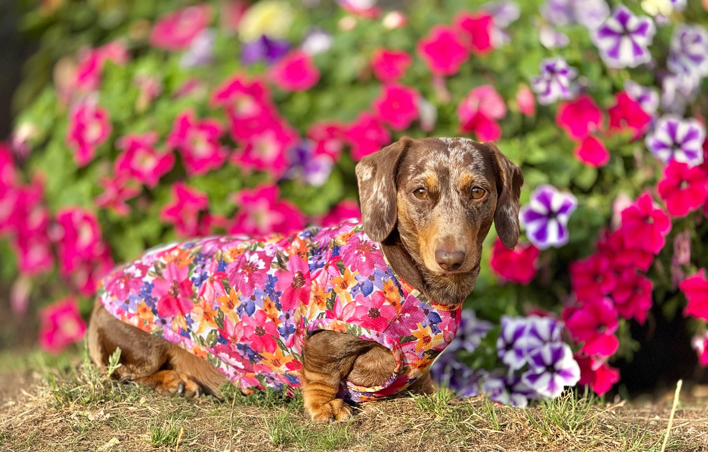 Florentina Dog Cooling Vest - The Bark Market