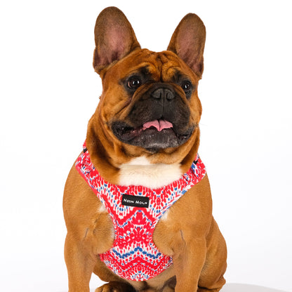 The Tod Mesh Harness - The Bark Market