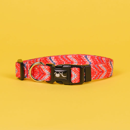 The Tod Dog Collar - The Bark Market