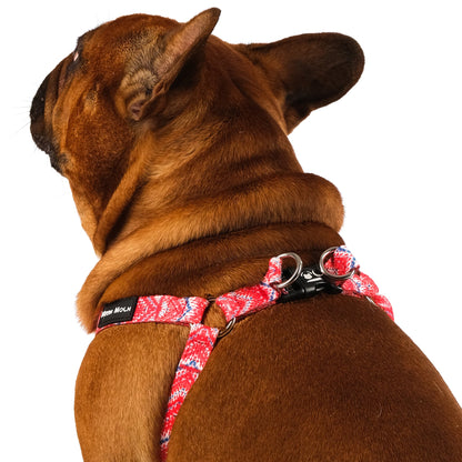 The Tod Step-In Harness - The Bark Market