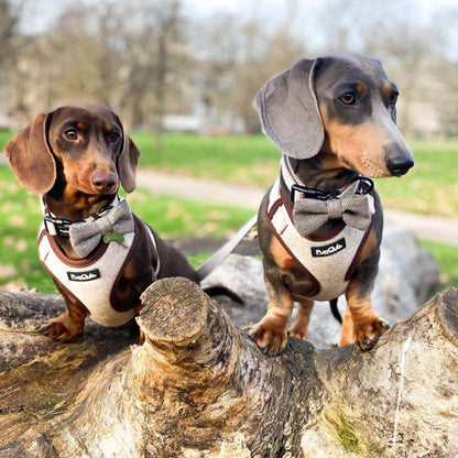 Tweed Adjustable Harness - Brown - The Bark Market
