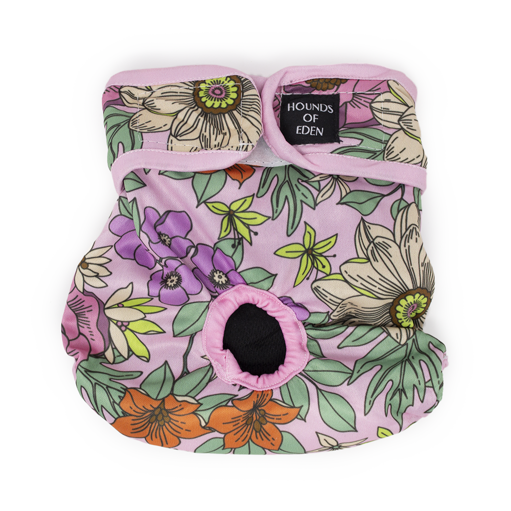 Wild Blossom - Dog Season Hygiene Panties - The Bark Market