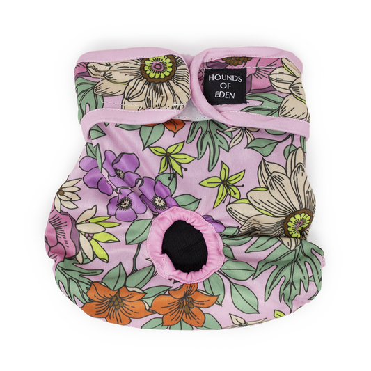 Wild Blossom - Dog Season Hygiene Panties - The Bark Market