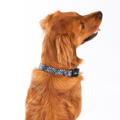 The Willow Dog Collar - The Bark Market