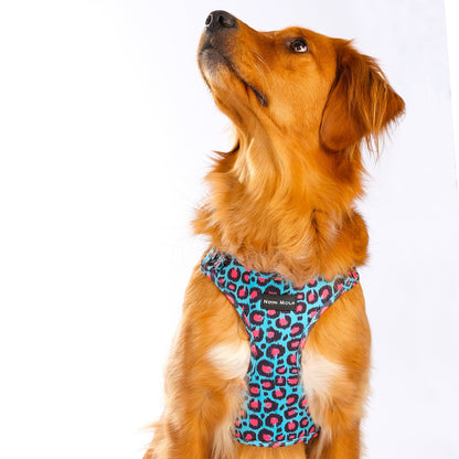 The Willow Mesh Harness - The Bark Market