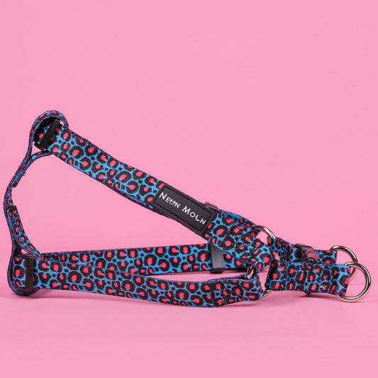 The Willow Step-In Harness - The Bark Market