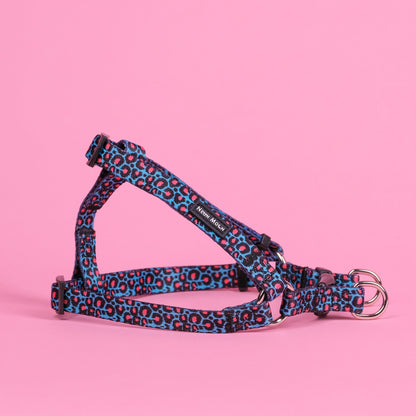 The Willow Step-In Harness - The Bark Market
