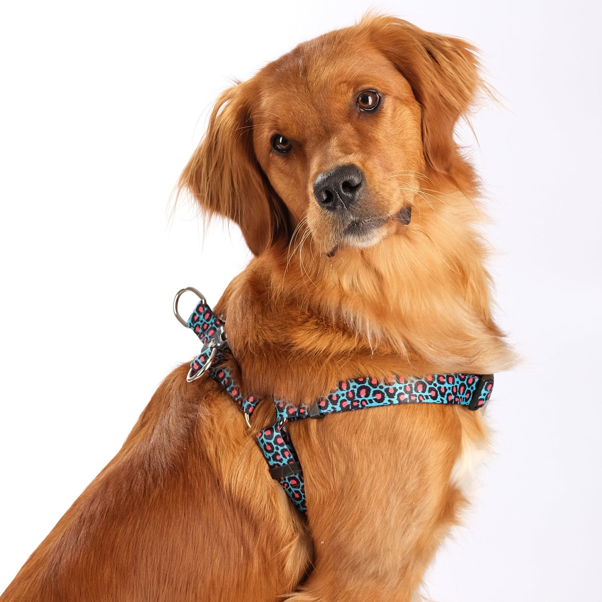 The Willow Step-In Harness - The Bark Market
