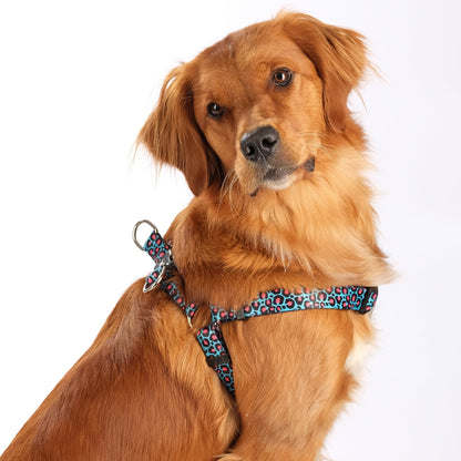 The Willow Step-In Harness - The Bark Market