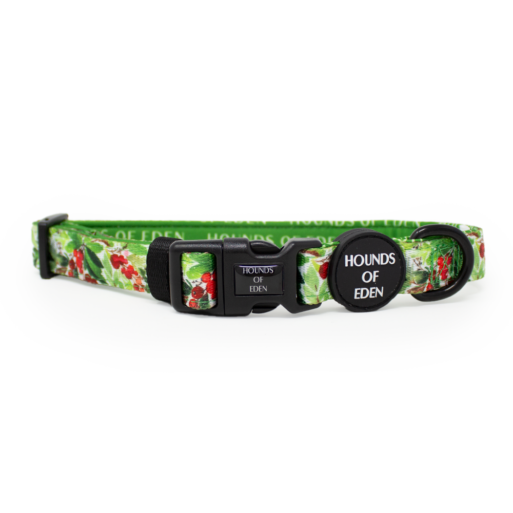 Winter Spruce & Berries Design Dog Collar - The Bark Market