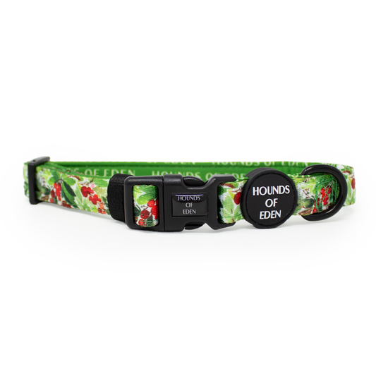 Winter Spruce & Berries Design Dog Collar - The Bark Market