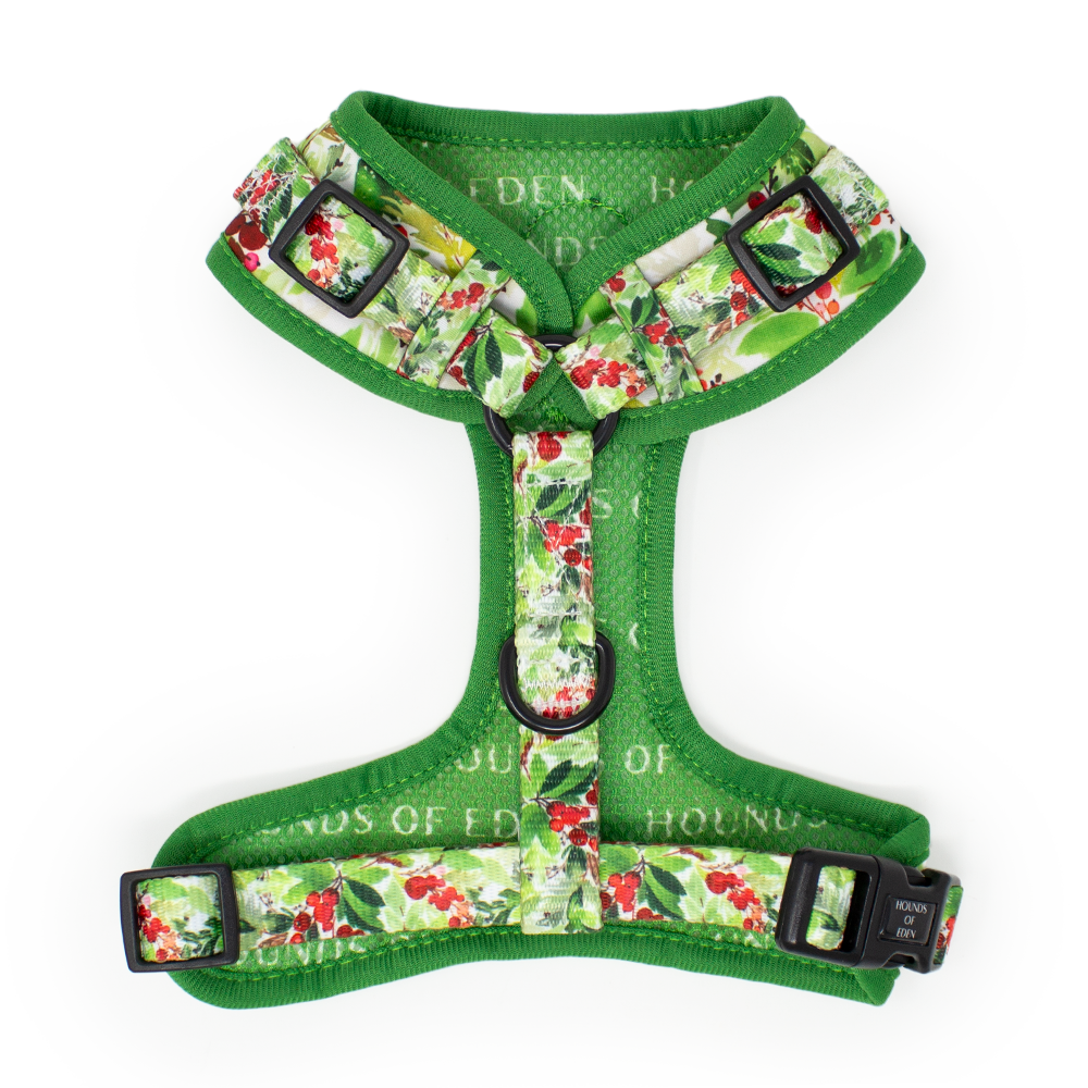 Winter Spruce & Berries Design Dog Collar - The Bark Market