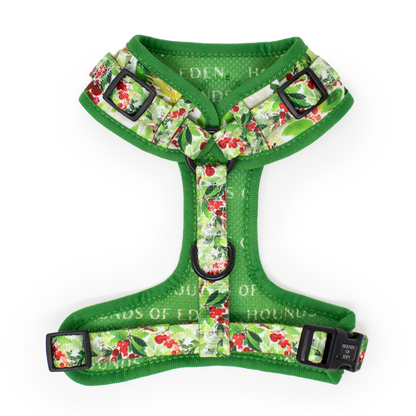Winter Spruce & Berries Design Dog Collar - The Bark Market