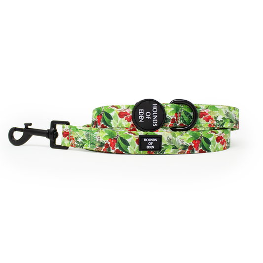 Winter Spruce & Berries Design Dog Lead - The Bark Market