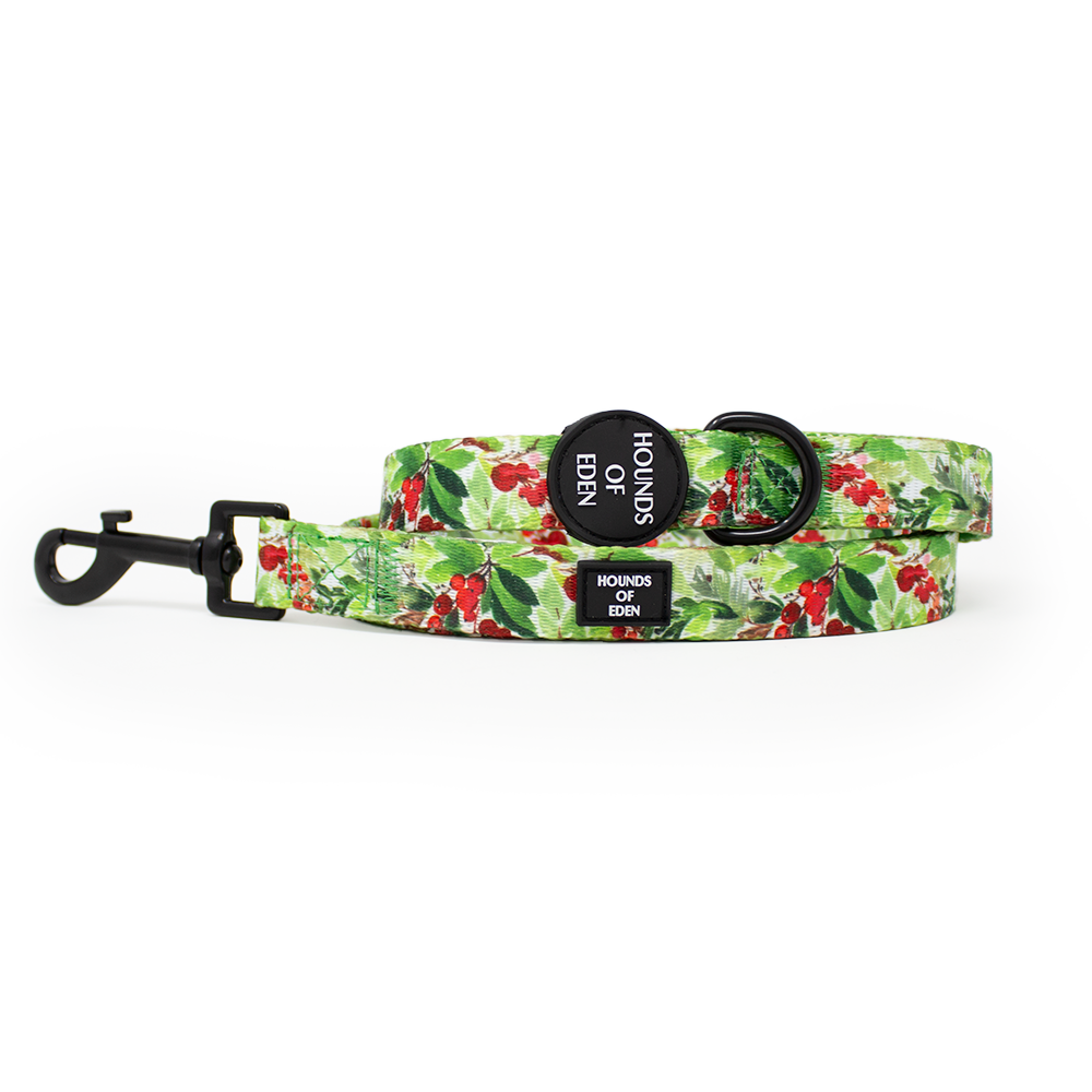 Winter Spruce & Berries Design Dog Collar - The Bark Market