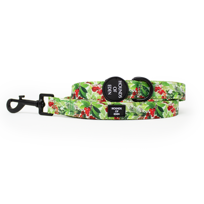 Winter Spruce & Berries Design Dog Collar - The Bark Market