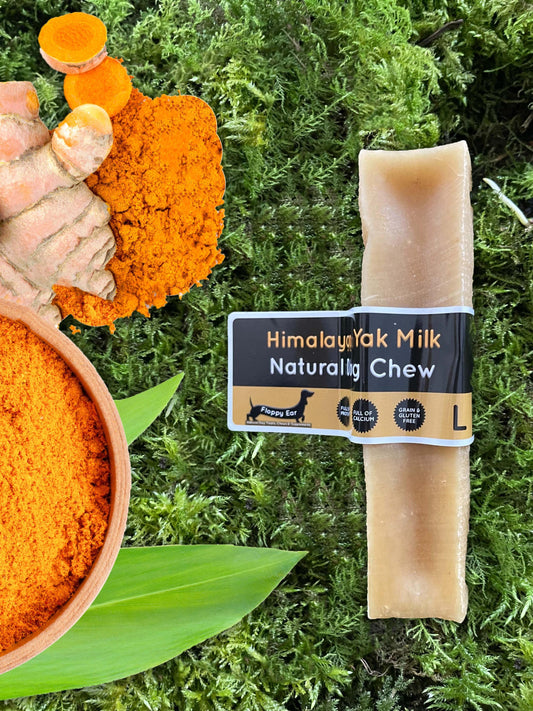 Turmeric Yak Dog Chew - The Bark Market