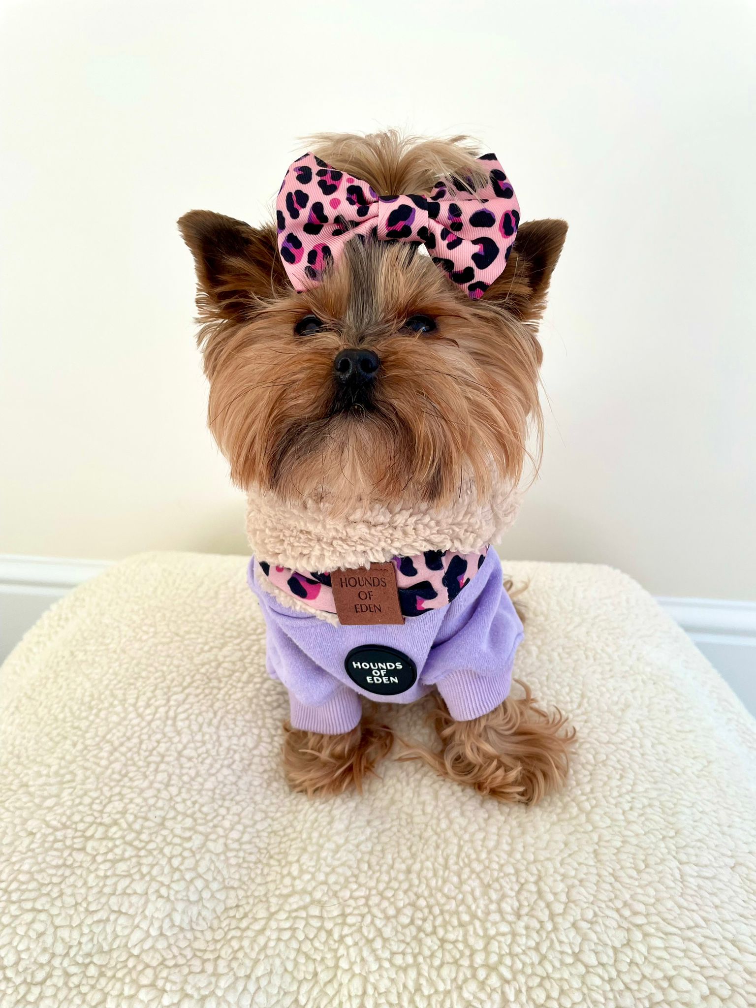 Dog Hoodie - Lilac - The Bark Market