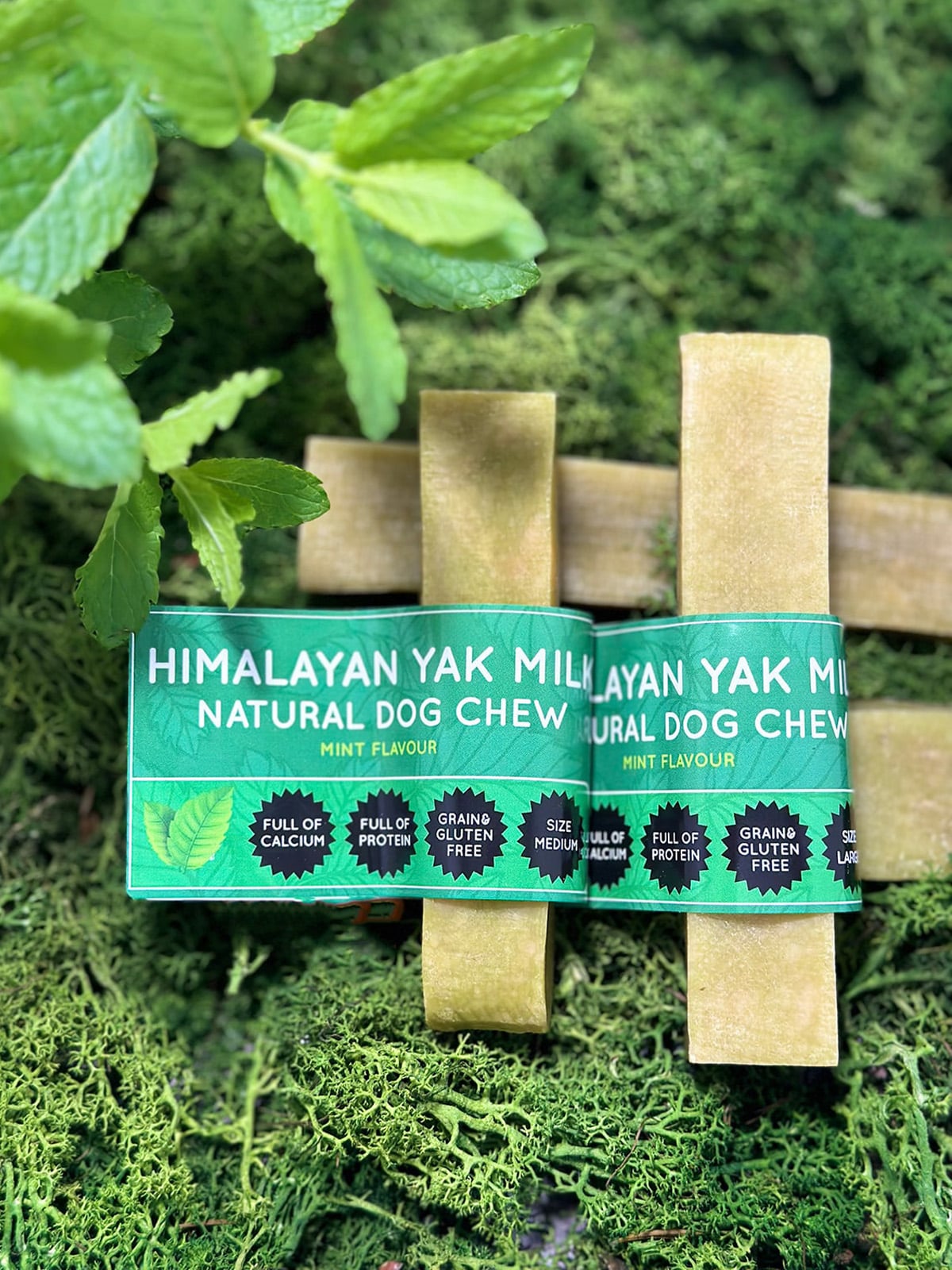 Mint Yak Dog Chew - The Bark Market