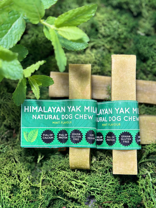 Mint Yak Dog Chew - The Bark Market