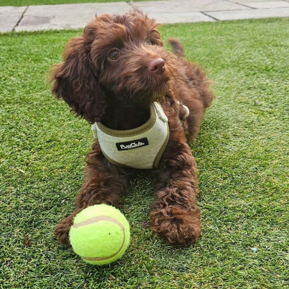 Tweed Adjustable Harness - Sage - The Bark Market