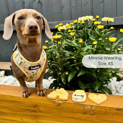 Adjustable Harness - Bee-utiful Summer - The Bark Market