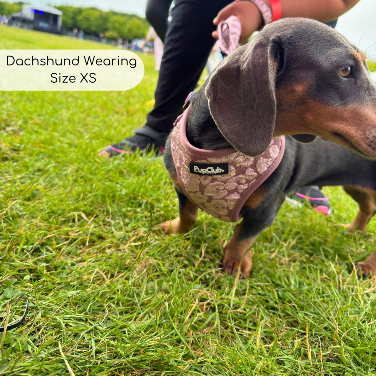 Luxe Adjustable Harness - Mocha Petals - The Bark Market