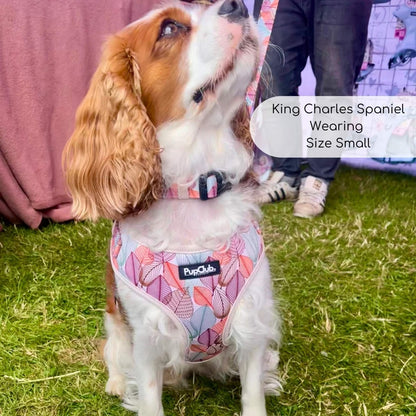Adjustable Harness - Autumn Breeze - The Bark Market