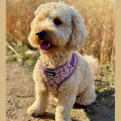 Luxe Adjustable Harness - Mocha Petals - The Bark Market