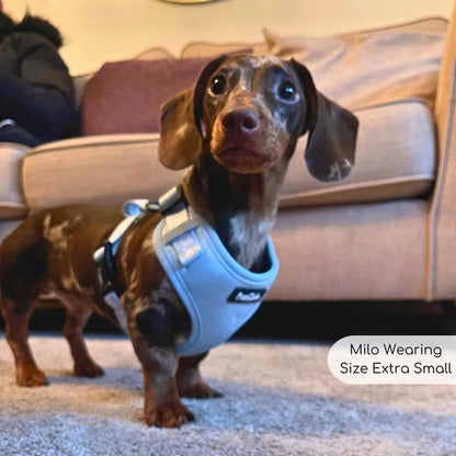 Adjustable Harness - Pastel Blue - The Bark Market