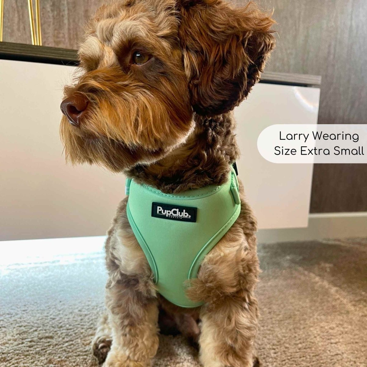 Adjustable Harness - Pastel Mint Green - The Bark Market