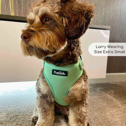 Adjustable Harness - Pastel Mint Green - The Bark Market