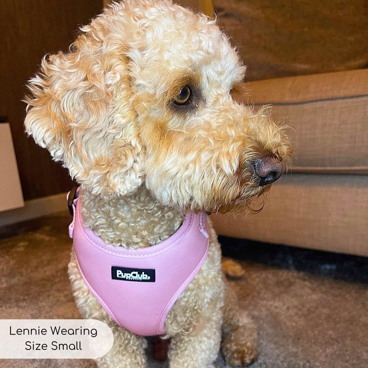 Adjustable Harness - Pastel Pink - The Bark Market
