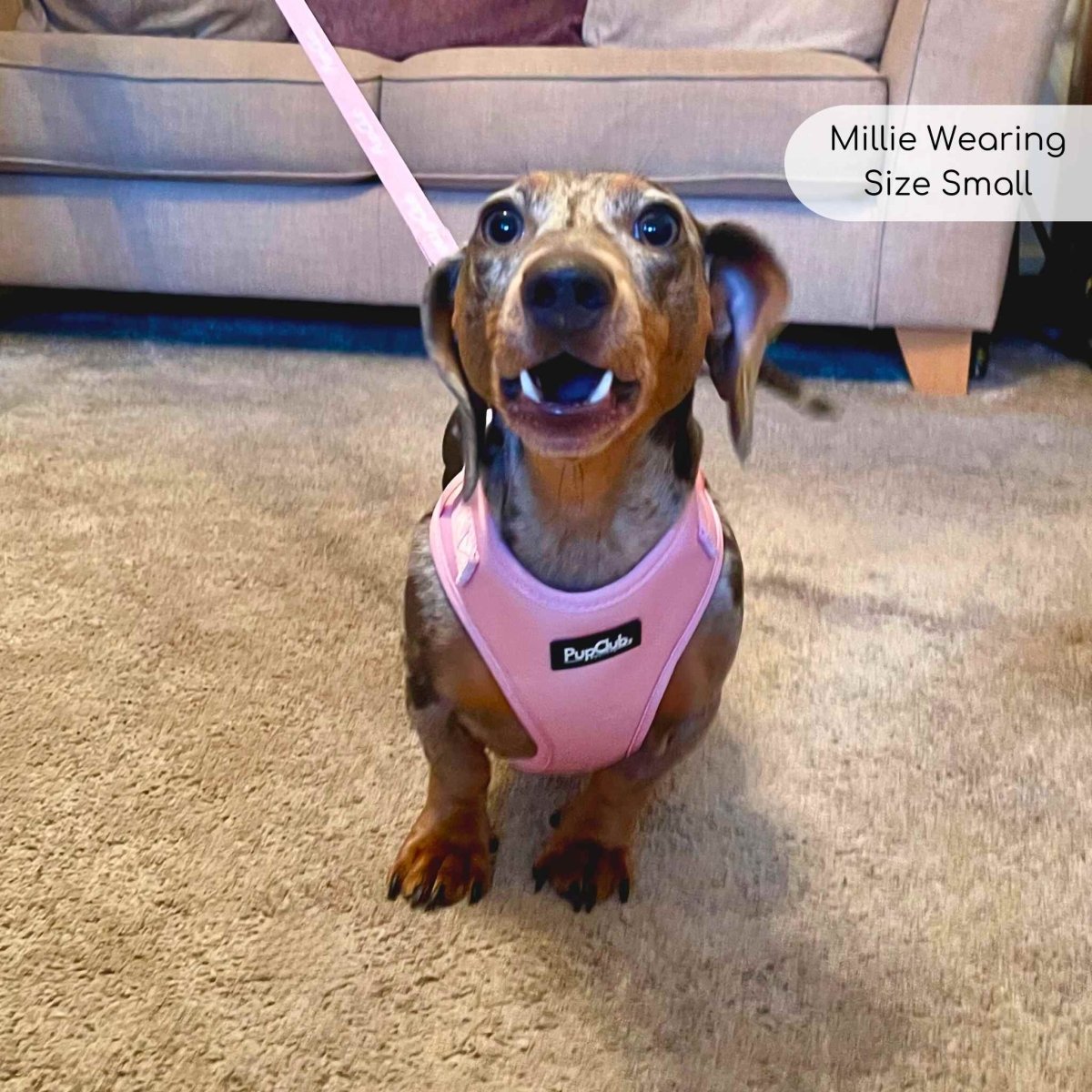 Adjustable Harness - Pastel Pink - The Bark Market