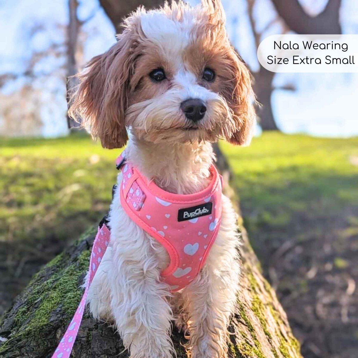 Adjustable Harness - Peachy Hearts - The Bark Market